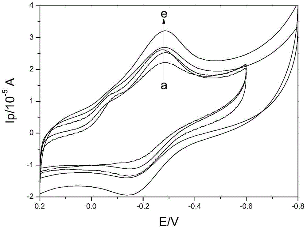 Graphene-hydrotalcite-like sheet-graphite phase carbon nitride composite immobilized protein modified electrode and preparation method and application thereof