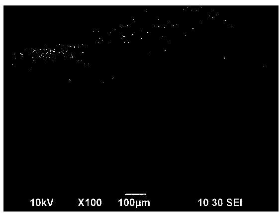 A kind of photocatalyst ceramsite of loading modified tio2 and preparation method thereof