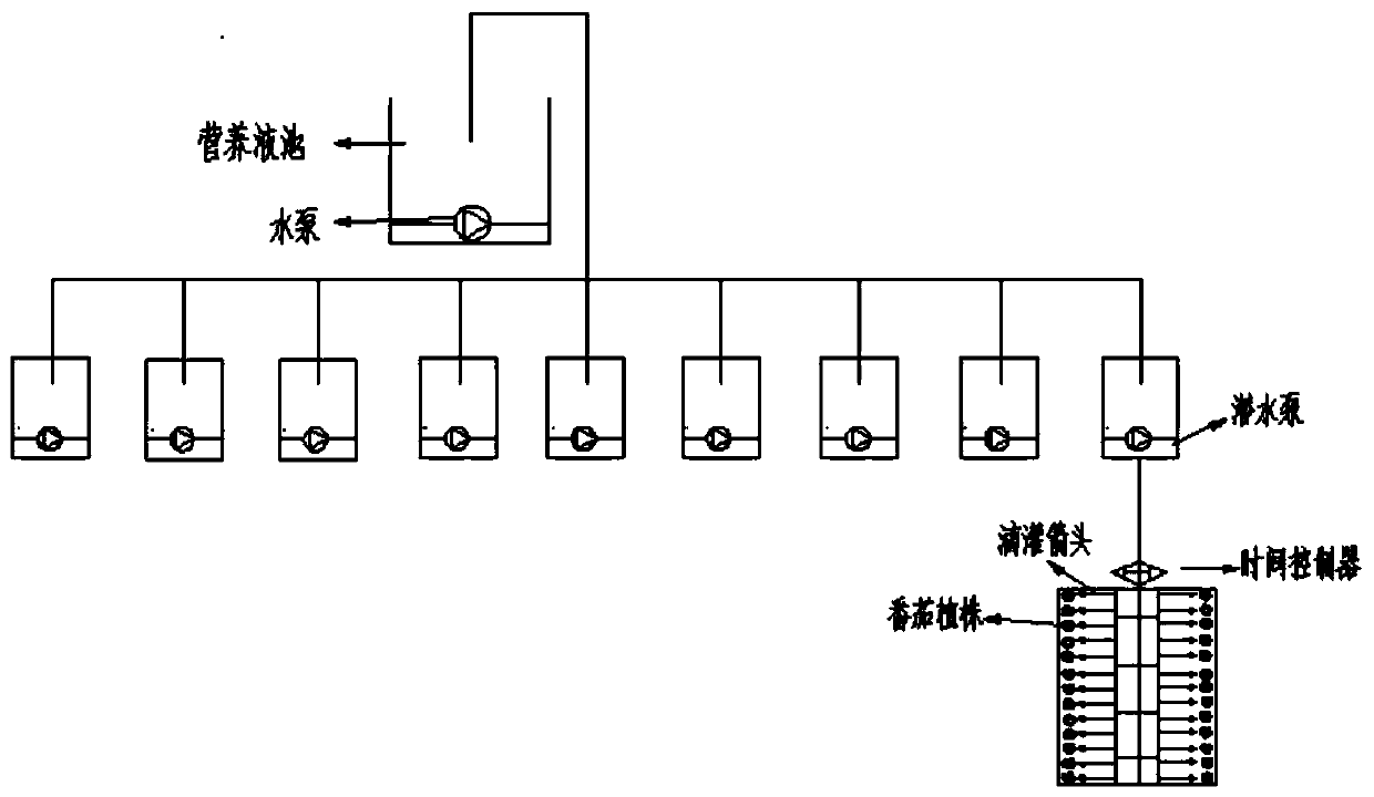 High-sugar tomato substrate cultivation method