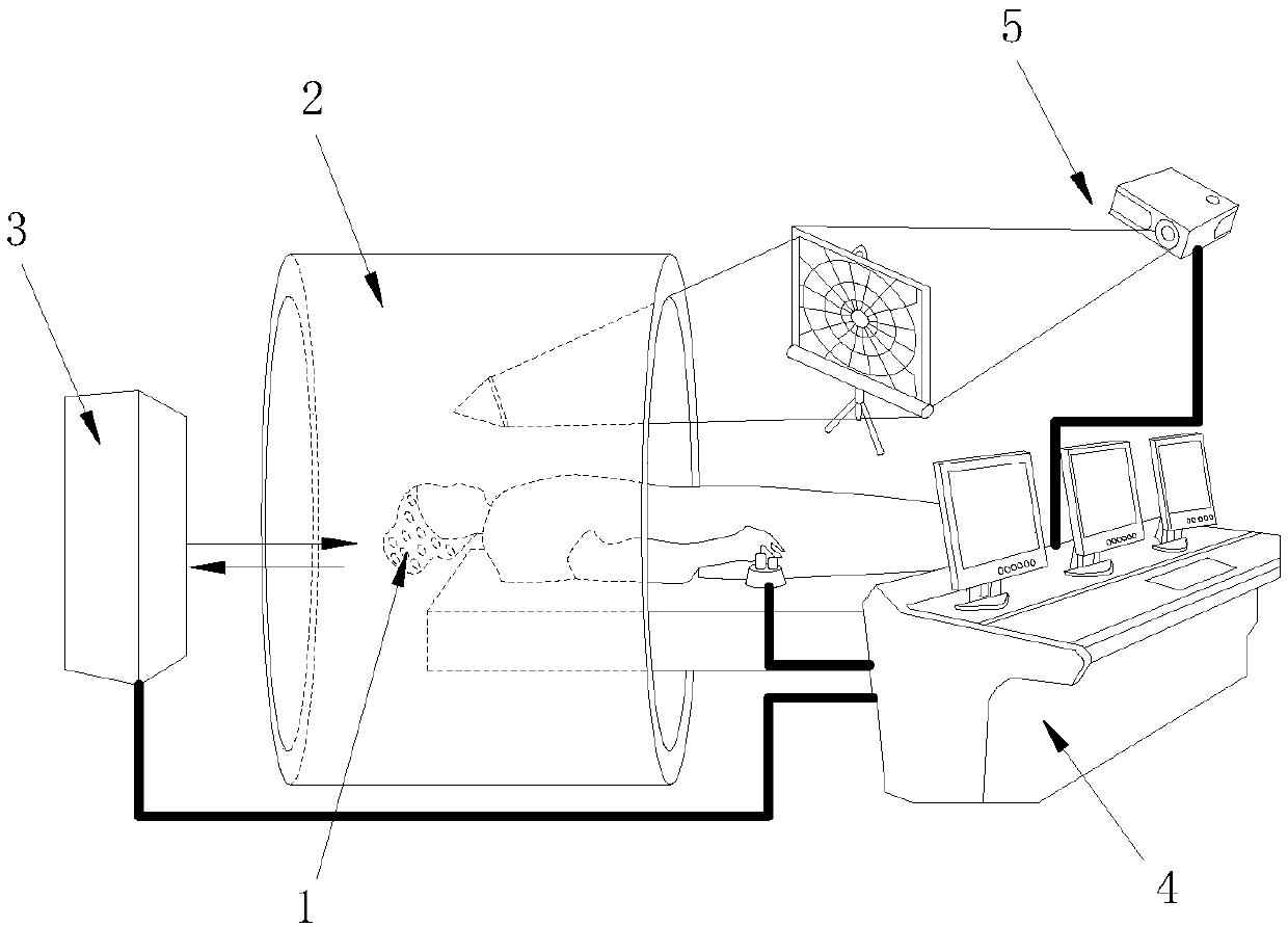 Quantum magnetoencephalography system and method based on magnetic shielding cylinder