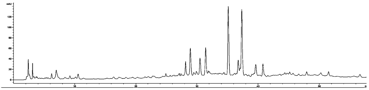 Pholidota cantonensis rolfe Chinese herbal fingerprint establishing method and fingerprint thereof