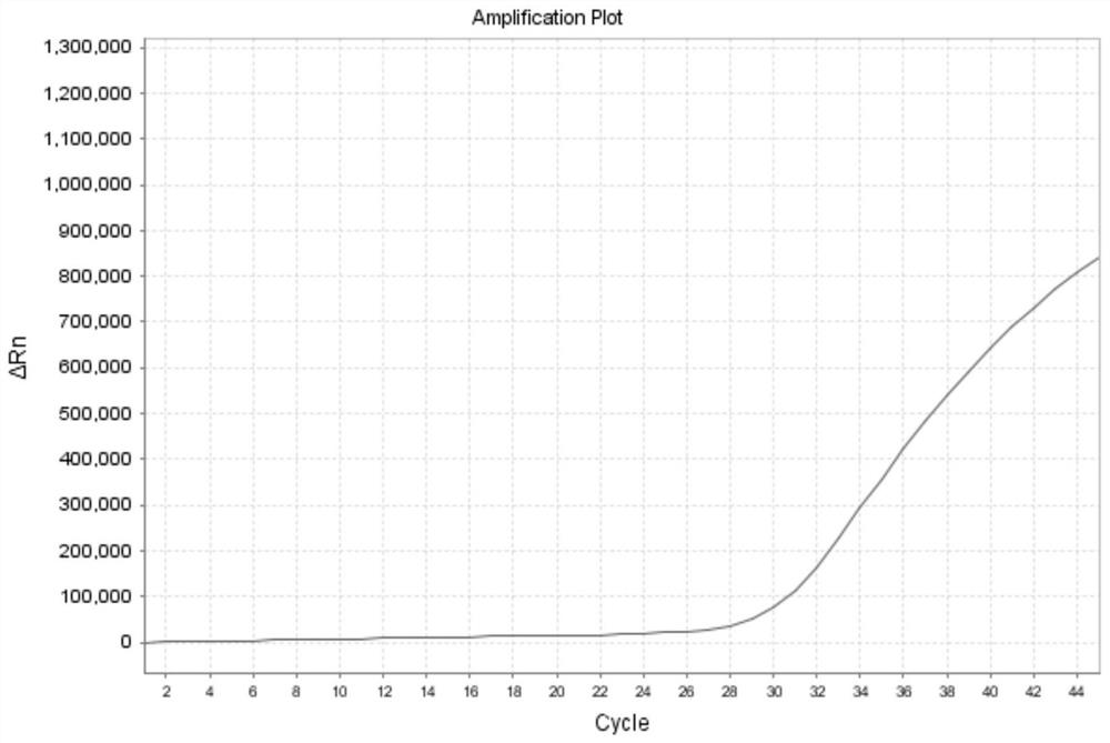 Influenza A virus detection kit and detection method thereof