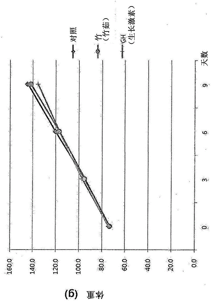 Novel use of a bamboo for promoting bone growth