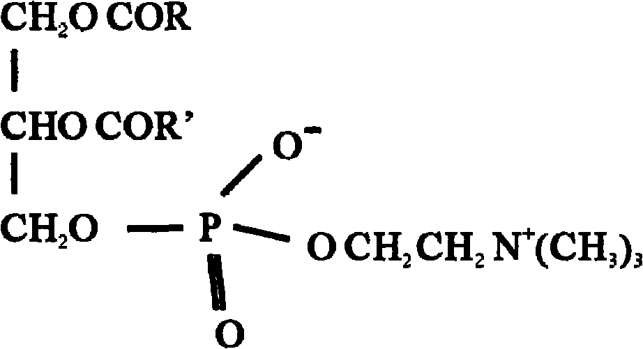 Medicine for curing cardio-cerebralvascular diseases and production method thereof