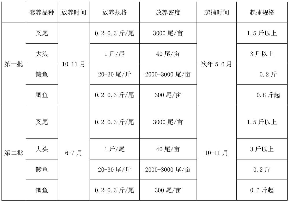 Special feed for ictalurus punetaus and high-yield and high-efficiency culture model thereof