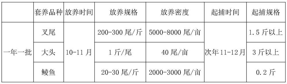 Special feed for ictalurus punetaus and high-yield and high-efficiency culture model thereof