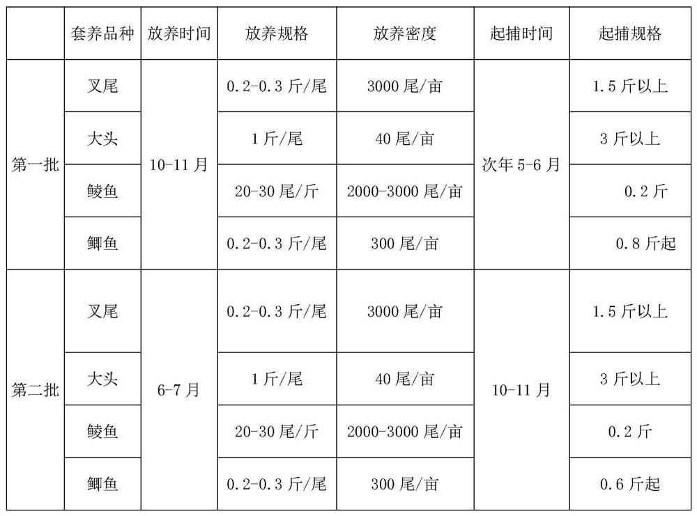 Special feed for ictalurus punetaus and high-yield and high-efficiency culture model thereof