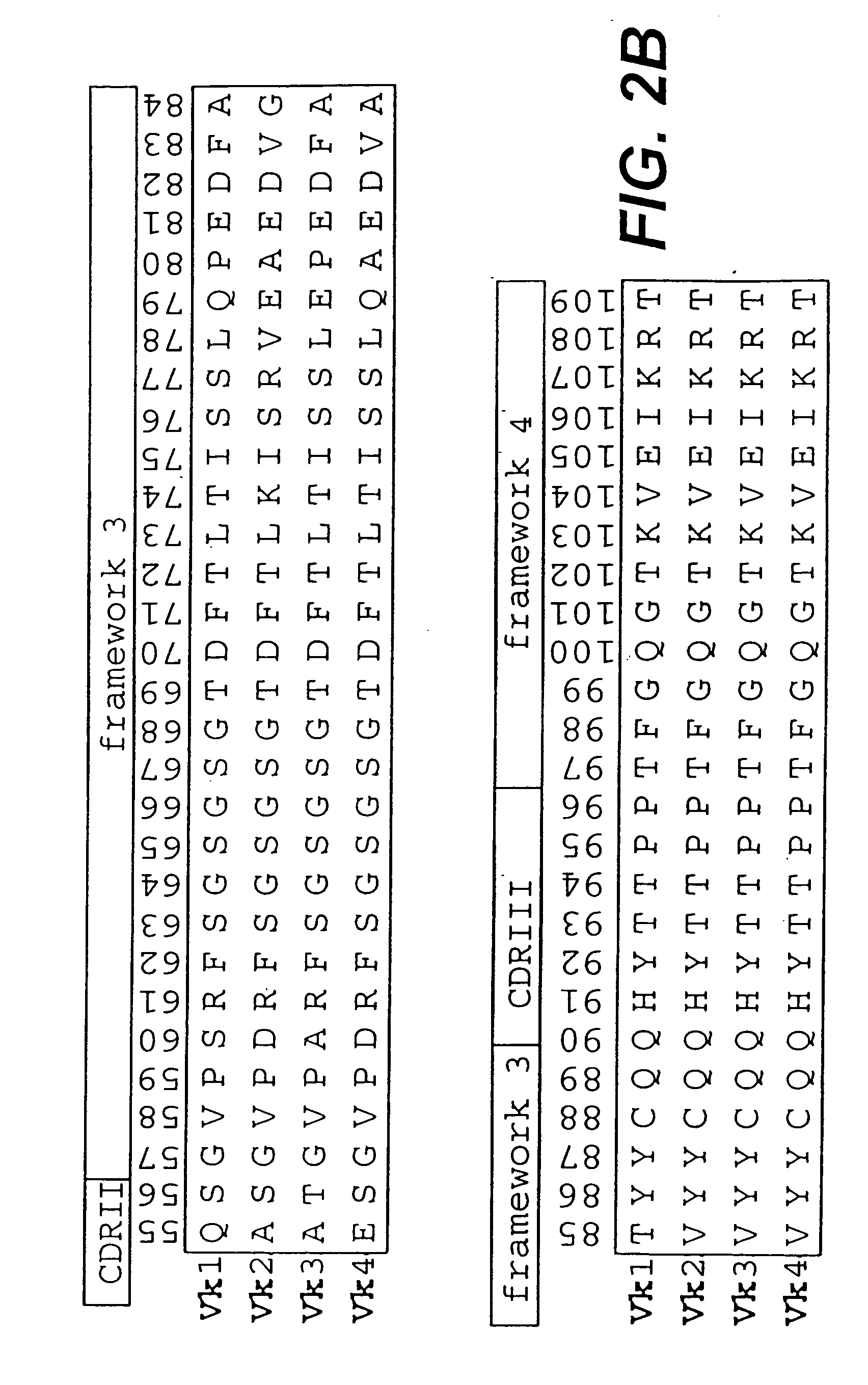 Protein (poly)peptides libraries