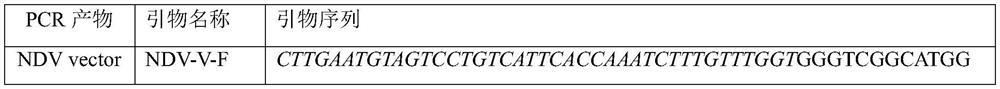 Newcastle disease virus vaccine strain for gene VII type genetic rescue