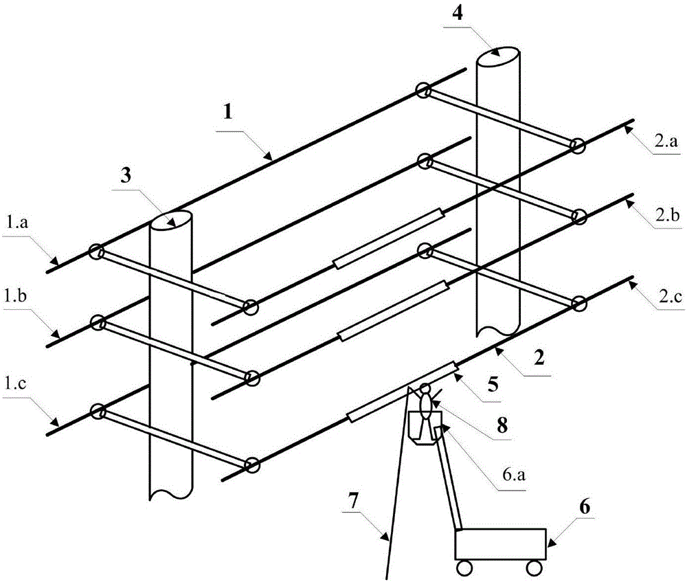 Live pole erecting method for 10 kV common-tower double-circuit and vertically arranged power distribution line