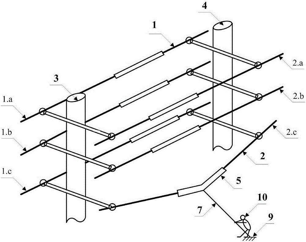 Live pole erecting method for 10 kV common-tower double-circuit and vertically arranged power distribution line