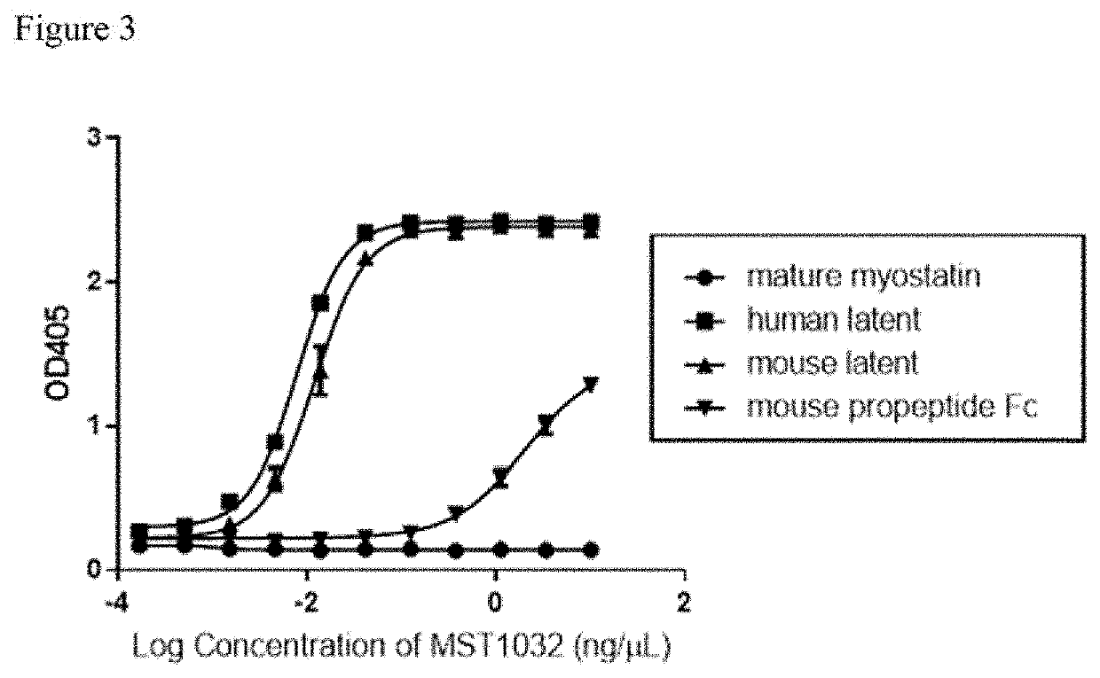 Anti-myostatin antibodies, polypeptides containing variant Fc regions, and methods of use