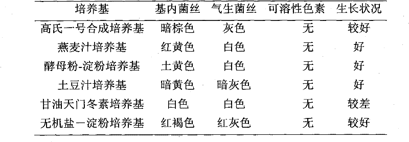 Antiviral actinomyces HA10206 and application thereof