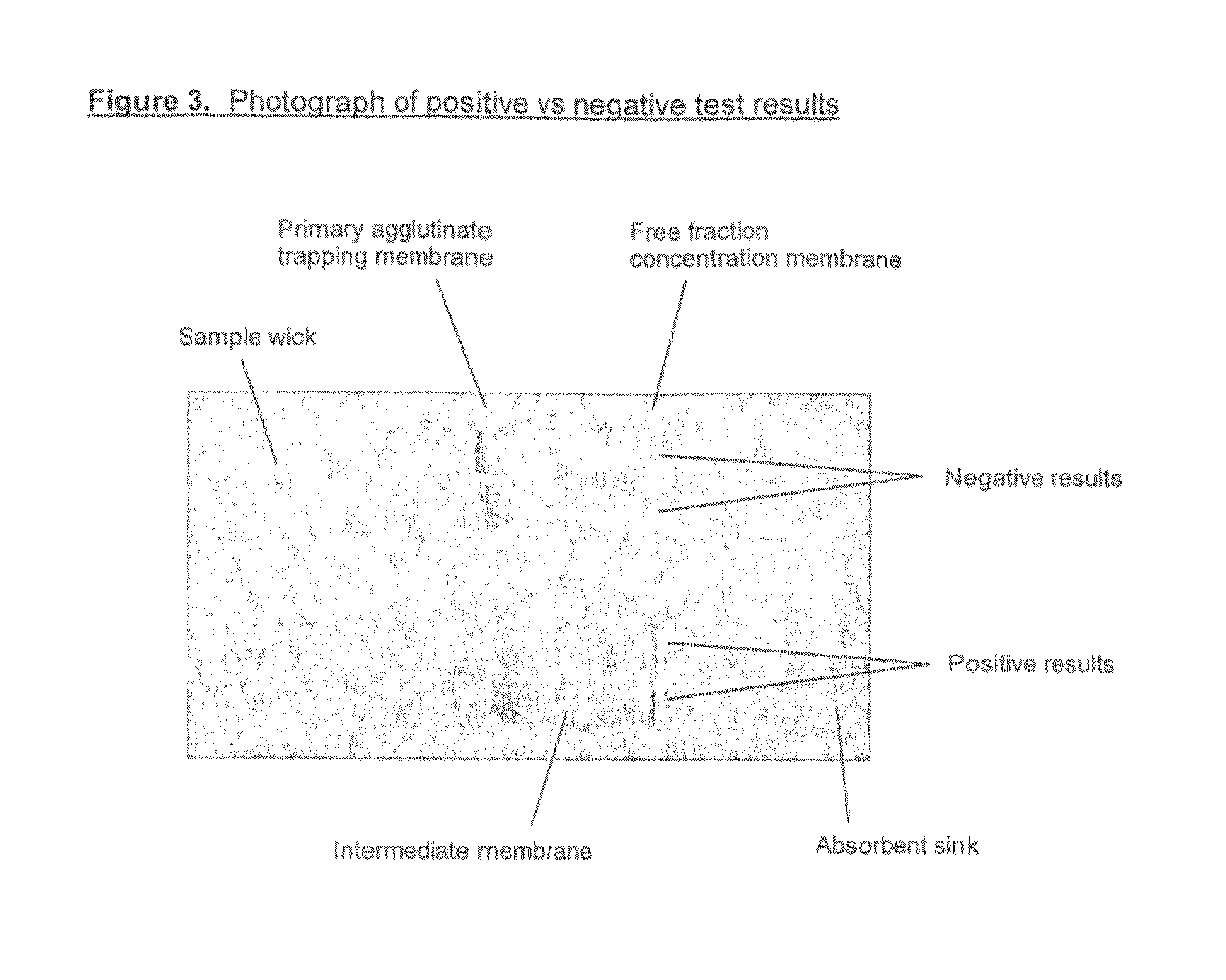 Saturation assay