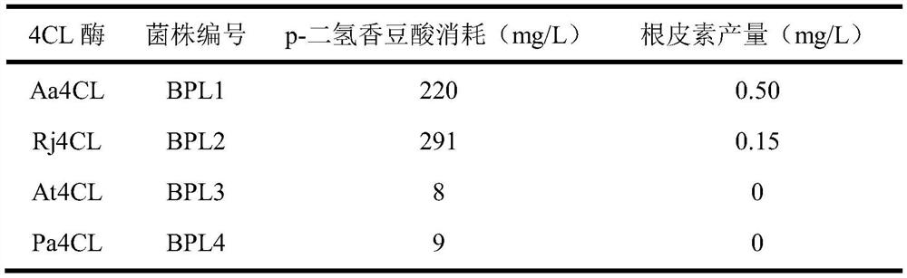 Application of a new p-coumaroyl-coa ligase in the biosynthesis of phloretin