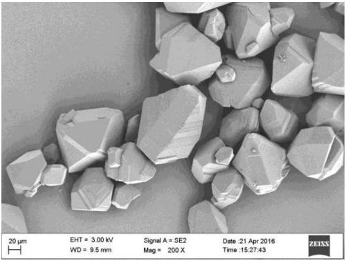 Method for preparing large particle triaminotrinitrobenzene by reaction crystallization method