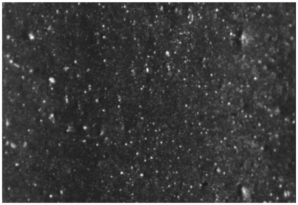 A kind of preparation method of in-situ graft modified rubber