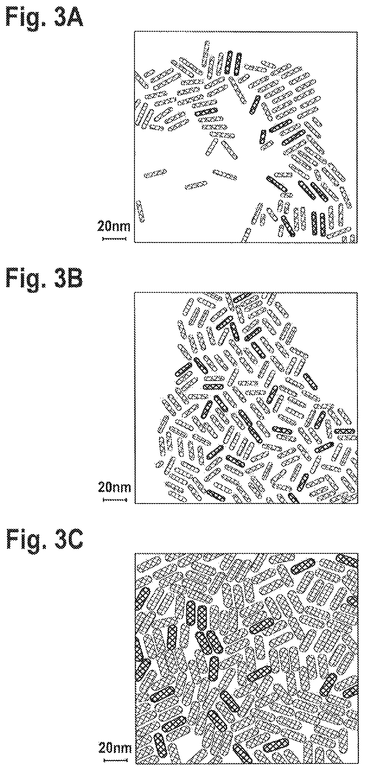 Seeded nanoparticles