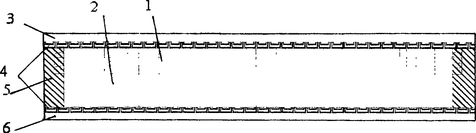 Image booster for improving microlight detection property of imaging system