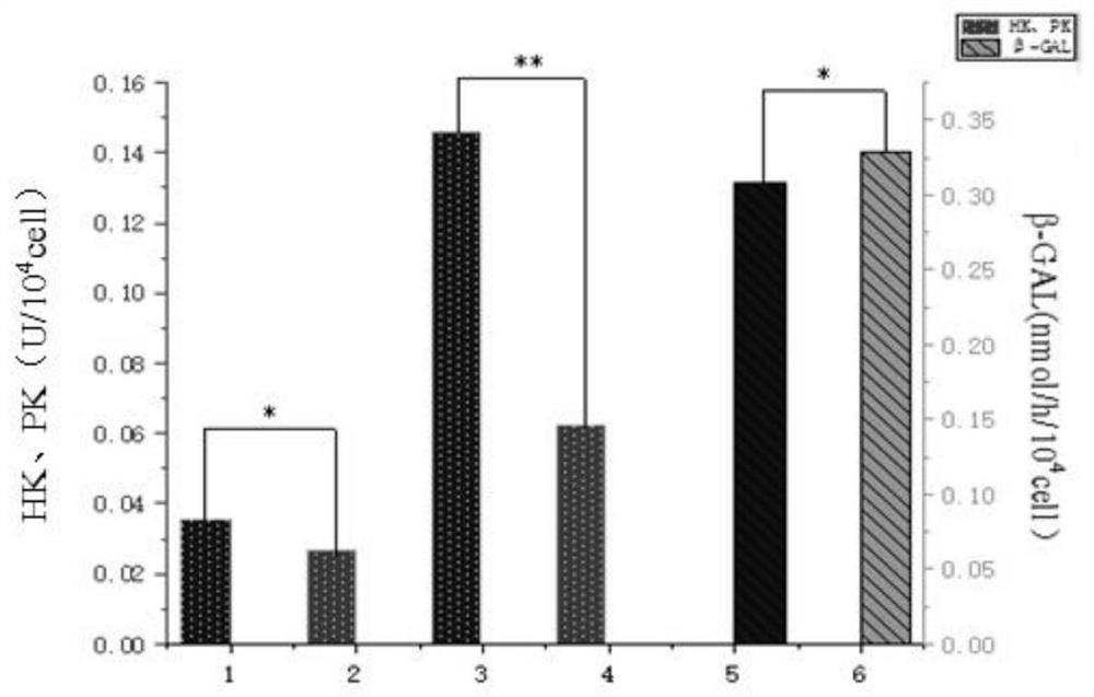 Streptococcus thermophilus IMAU 80287Y strain and use thereof, and yoghourt and preparation method thereof