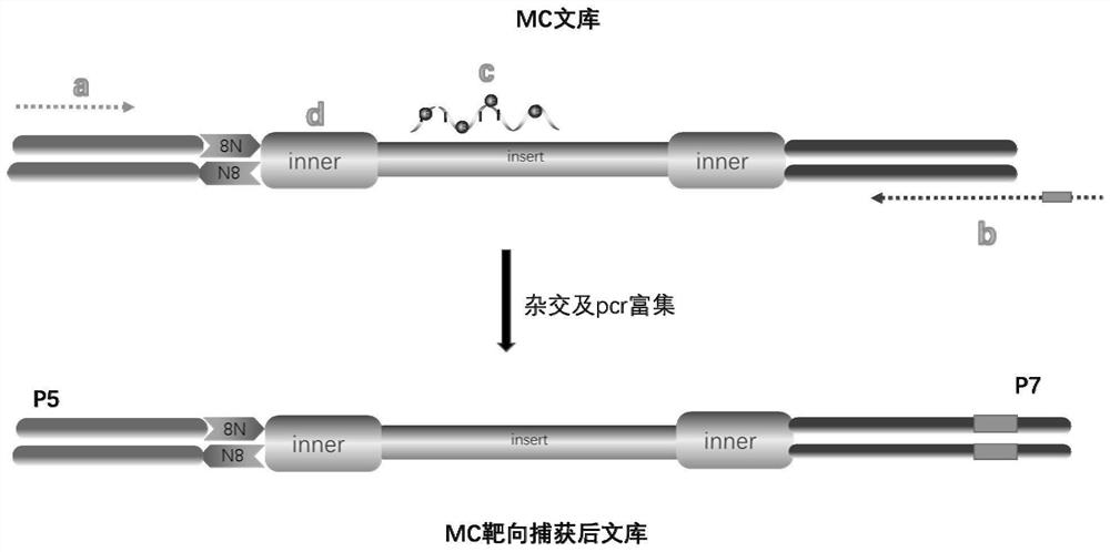 Method for detecting variation and methylation of tumor specific genes in ctDNA