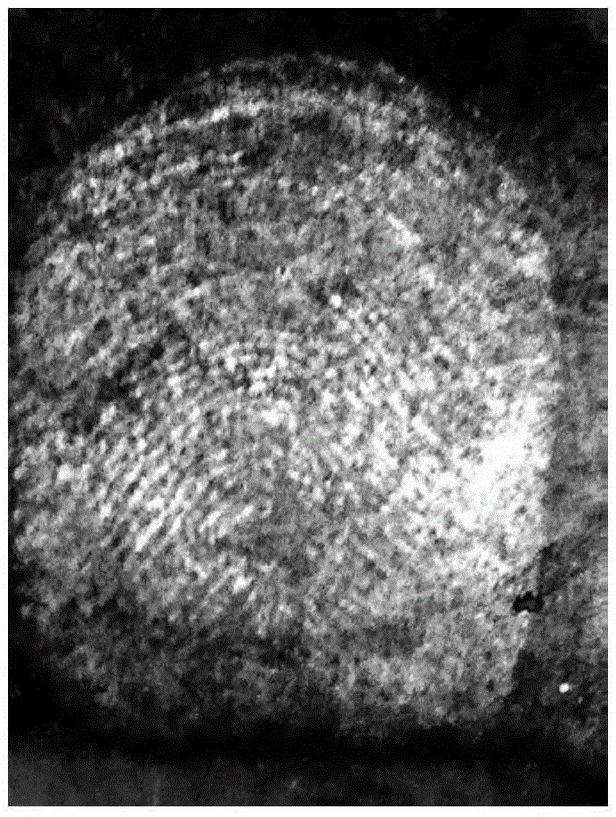 Fluorescence Quenching System Applied to Latent Fingerprint Visualization Method