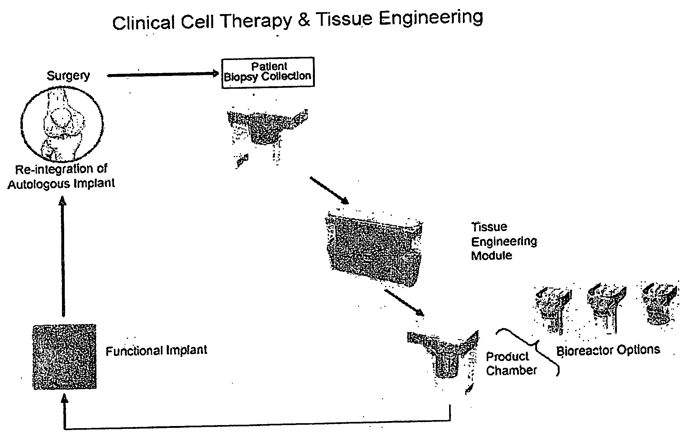 Advanced Tissue Engineering System