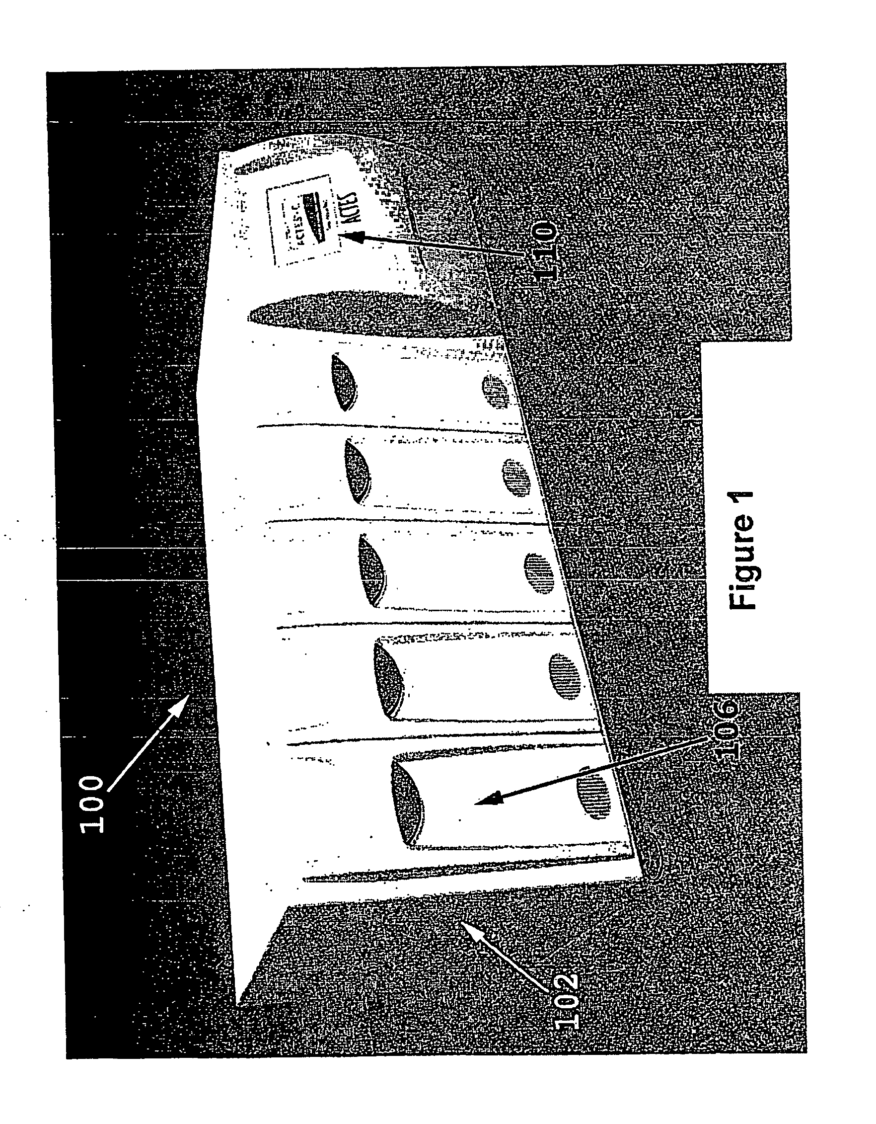 Advanced Tissue Engineering System