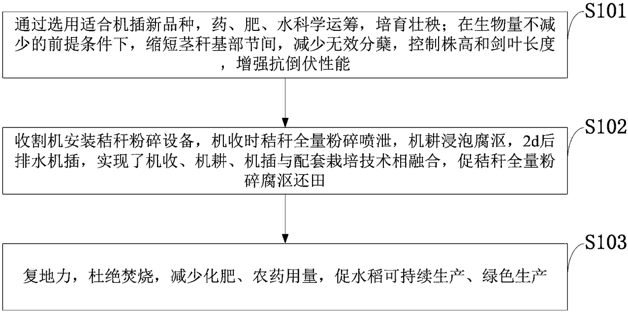 Paddy rice mechanized production promoting and straw total returning integrated method