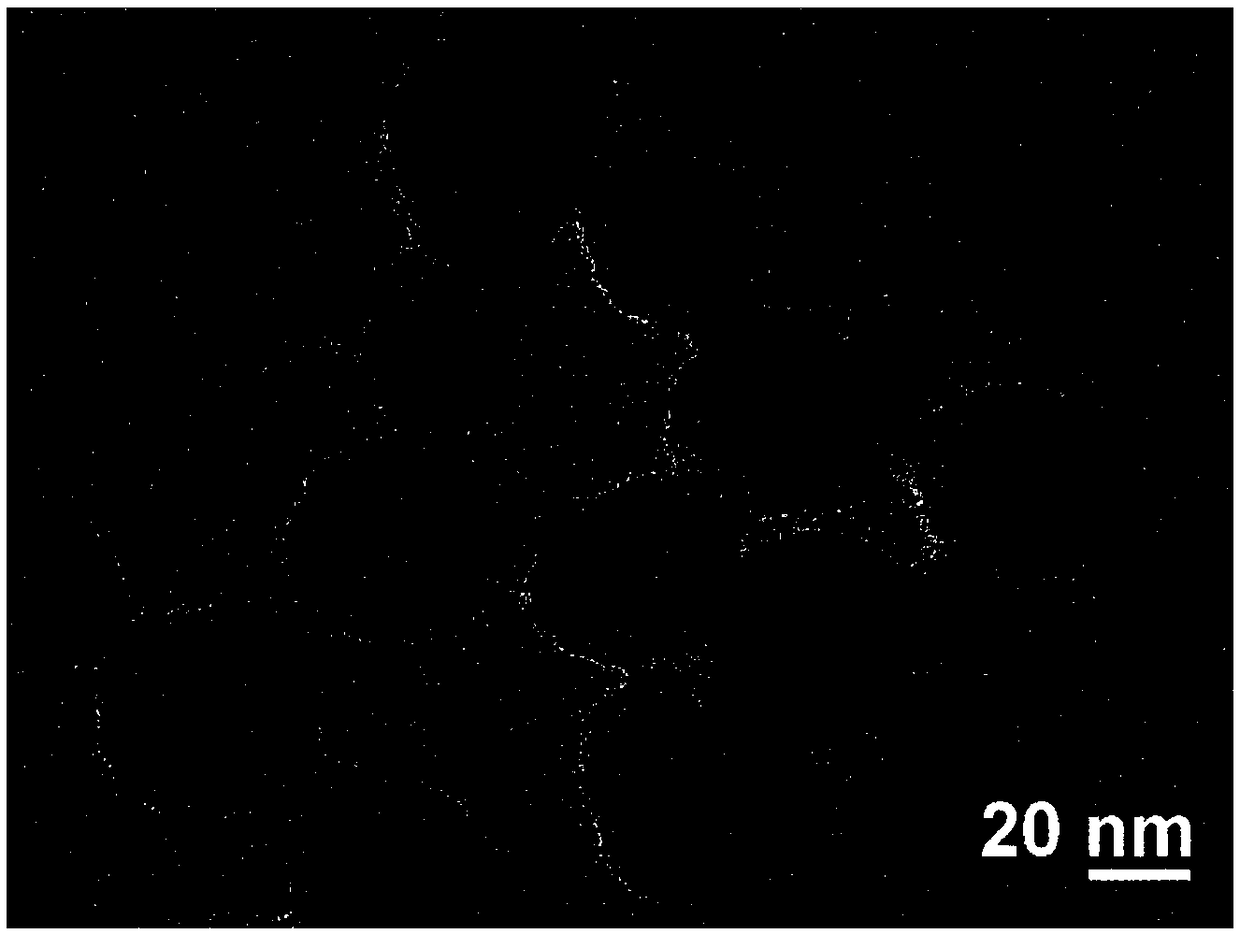 Preparation method of novel rat osteoarthritis model