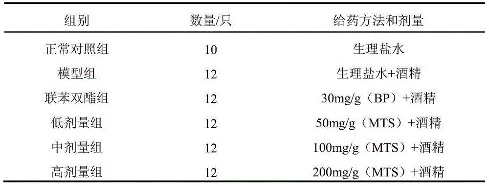 Application of matteuccia struthiopteris total triterpenes to protection of chronic alcoholic liver damage