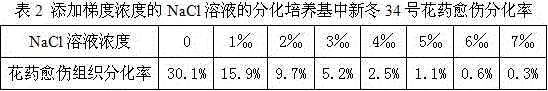 Salt-tolerant wheat breeding method for screening excellent salt-tolerant strain by means of anther culture of haploid