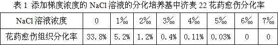 Salt-tolerant wheat breeding method for screening excellent salt-tolerant strain by means of anther culture of haploid