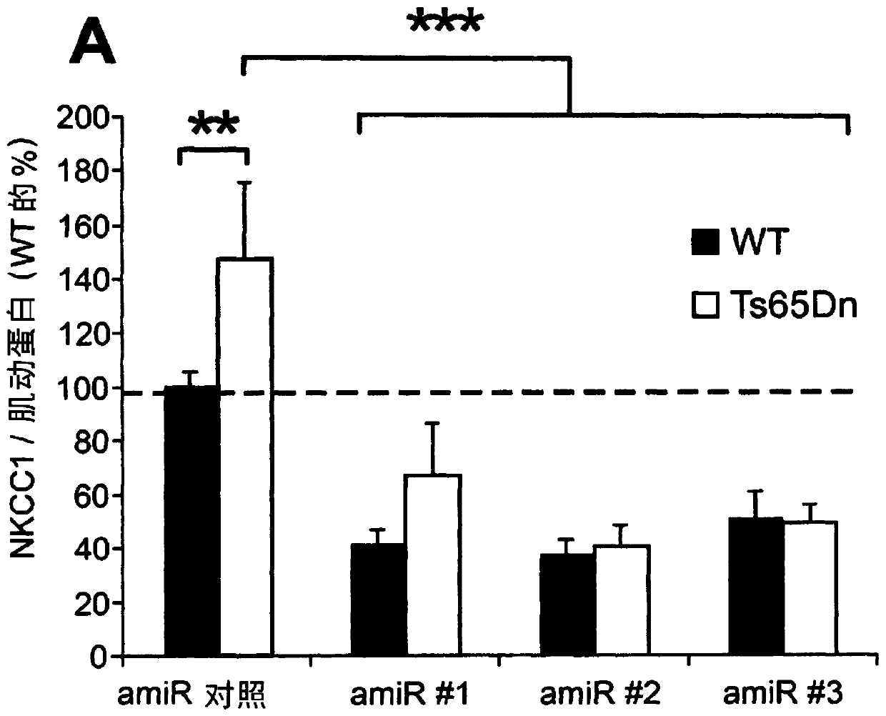 A vector and a pharmaceutical composition for reducing the expression of nkcc1 in a subject in need thereof, as well as a related therapeutic treatment method