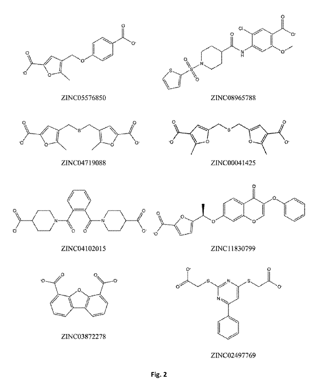 Bis-furan derivatives as transthyretin (TTR) stabilizers and amyloid inhibitors for the treatment of familial amyloid polyneuropathy (FAP)