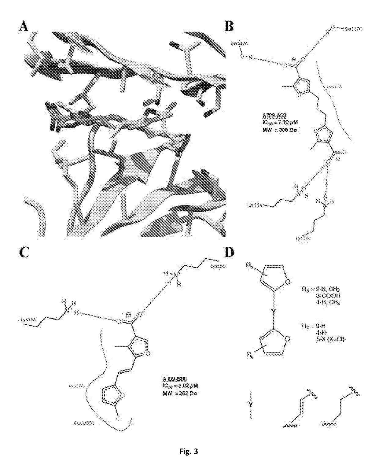 Bis-furan derivatives as transthyretin (TTR) stabilizers and amyloid inhibitors for the treatment of familial amyloid polyneuropathy (FAP)