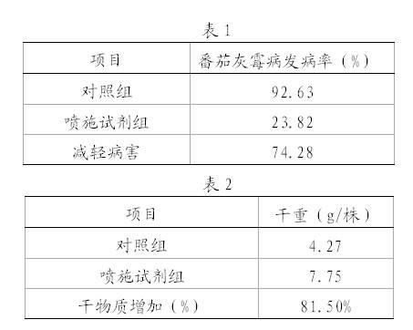 Preparation for controlling Botrytis cinerea and preparation and application method thereof