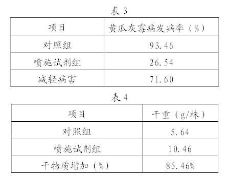 Preparation for controlling Botrytis cinerea and preparation and application method thereof