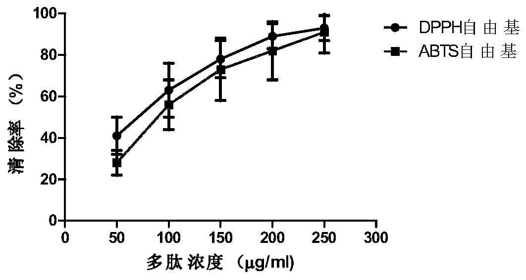 Antioxidant Peptides and Their Genes of Frog Rana and Their Application in Pharmaceuticals