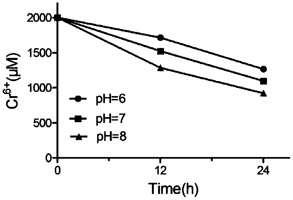 Method for rapidly removing hexavalent chromium pollutants by utilizing electron carrier