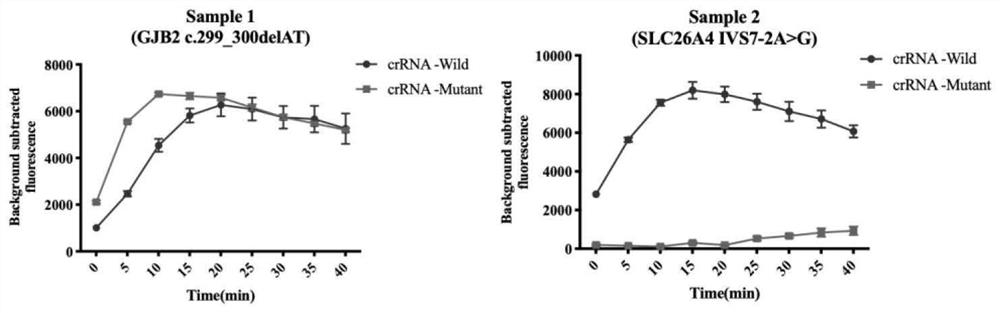 crRNA combination for multiple detection of hereditary hearing loss, kit and method theref