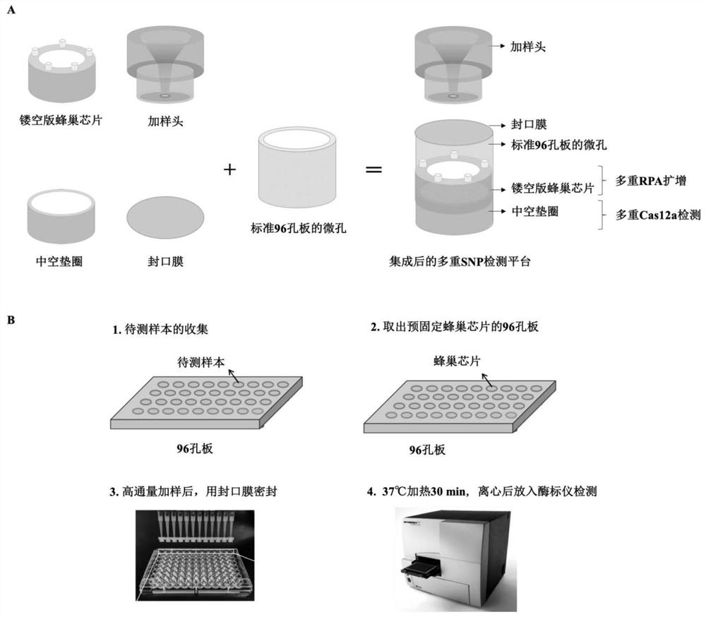 crRNA combination for multiple detection of hereditary hearing loss, kit and method theref