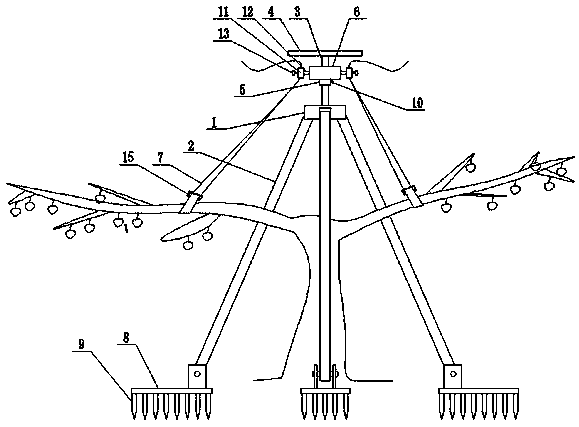 Tree fruit supporting rod fixing frame