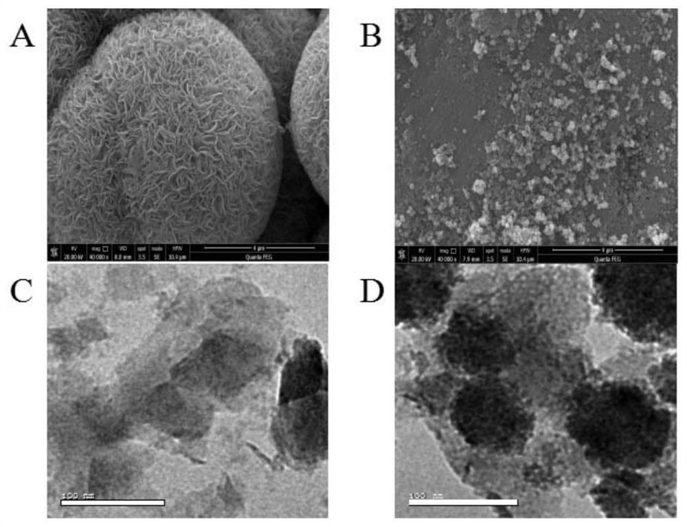 Composite magnetic nano material based on DNA tetrahedrons, preparation and application