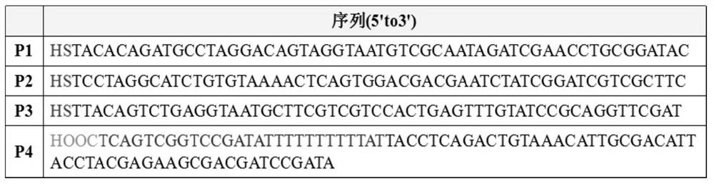 Composite magnetic nano material based on DNA tetrahedrons, preparation and application