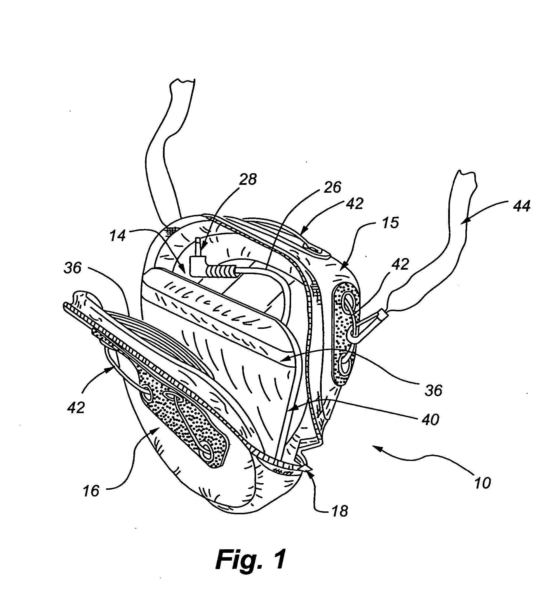 Protective enclosure with a line-out device adapted for use with electronic componentry