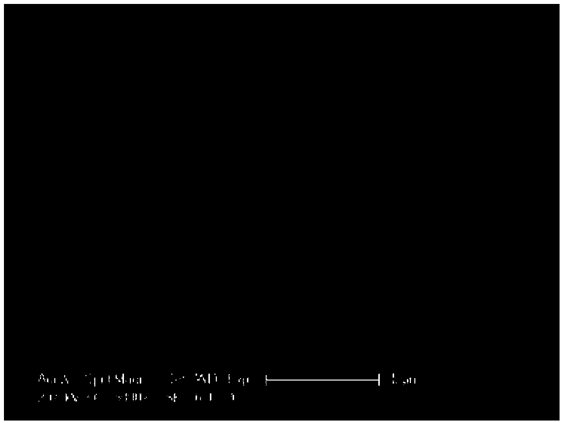 Antipollution self-cleaning GO/ZnO-PVDF film and preparation method thereof