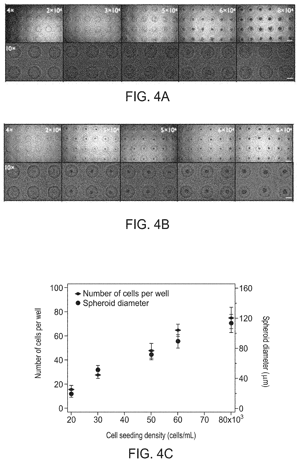 Hydrogel-encapsulated beta cells, beta-cell encapsulation process, and uses thereof