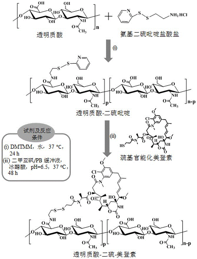 Hyaluronic acid derived maytansine prodrug, preparation method thereof and application of maytansine prodrug in preparation of tumor target treatment medicines