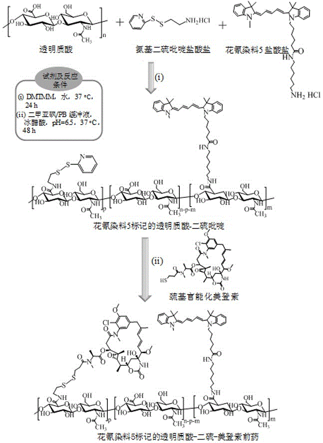 Hyaluronic acid derived maytansine prodrug, preparation method thereof and application of maytansine prodrug in preparation of tumor target treatment medicines